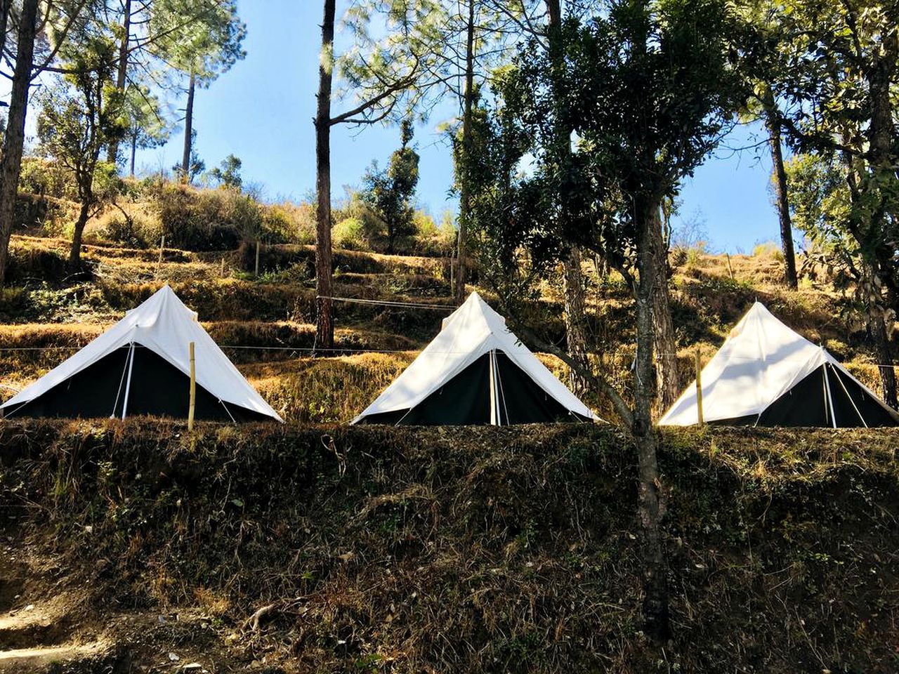 Glamping Tent Getaway with Beautiful Views of the Himalayas in Chamba, India