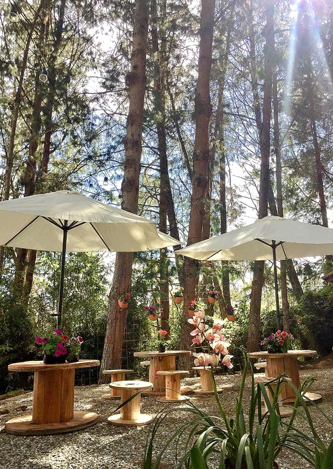 Romantic Glamping Experience in the Forest near Medellin, Colombia