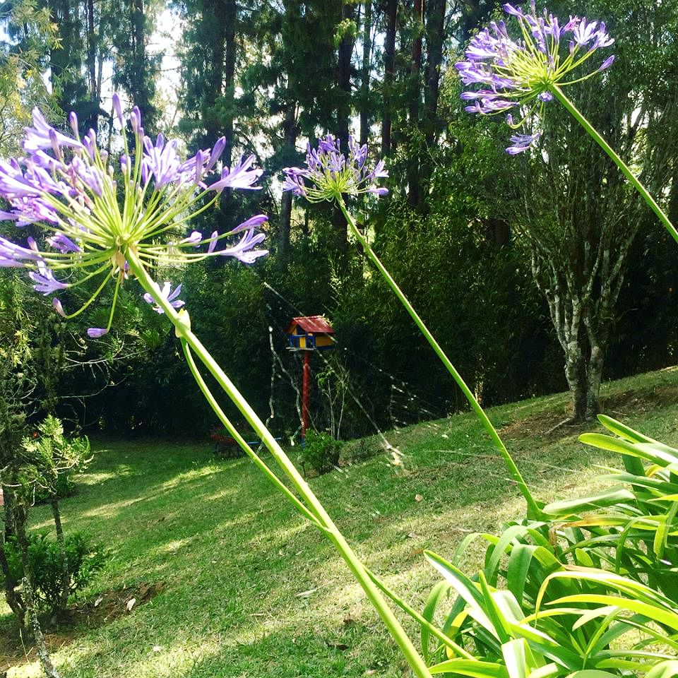 Romantic Glamping Experience in the Forest near Medellin, Colombia