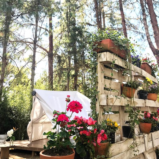 Bell Tents (Medellín, Antioquia, Colombia)