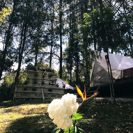 Bell Tents (Medellín, Antioquia, Colombia)