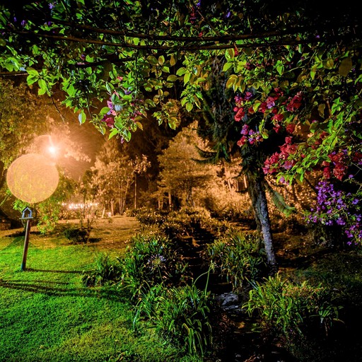 Bell Tents (Medellín, Antioquia, Colombia)