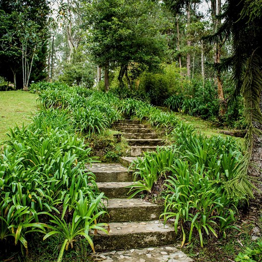 Bell Tents (Medellín, Antioquia, Colombia)