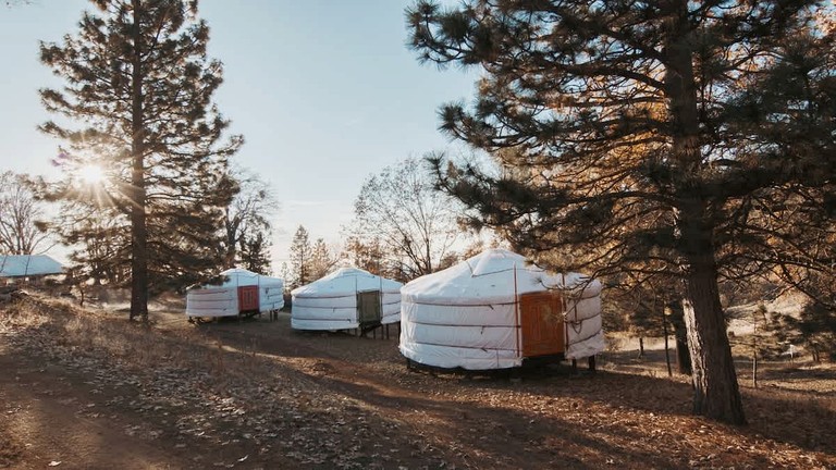 Yurts (United States of America, Dunlap, California)