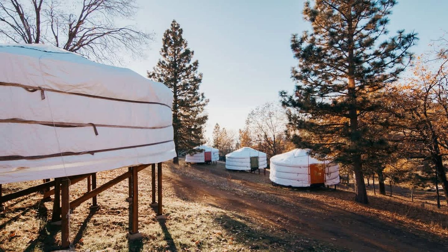 Authentic Mongolian Yurt in Sequoia National Forest, Perfect for a Glamping Retreat in Nature