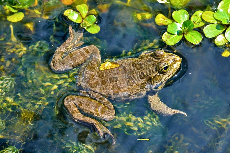 Vacation Rentals (Panama, --, --)