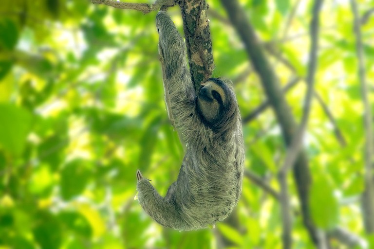 Vacation Rentals (Panama, --, --)