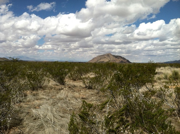 Yurts in El Paso, Texas: Book your COVID getaways in TX today!