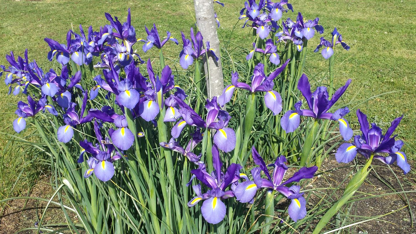 Fabulous Bed and Breakfast near Gorgeous Beaches Close to Albany, Western Australia