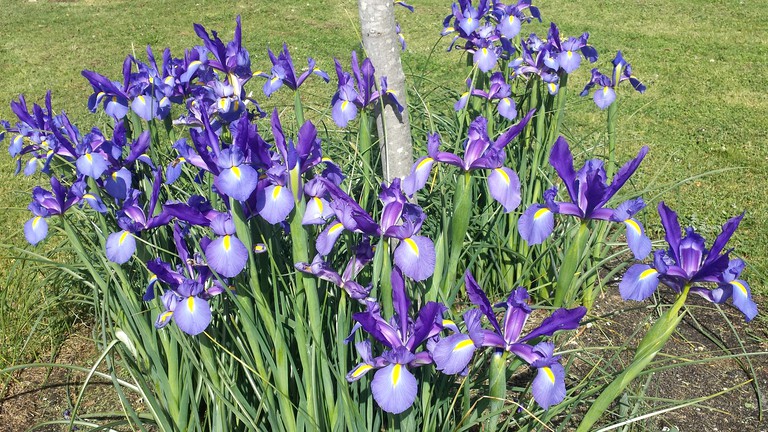 Nature Lodges (Albany, Western Australia, Australia)