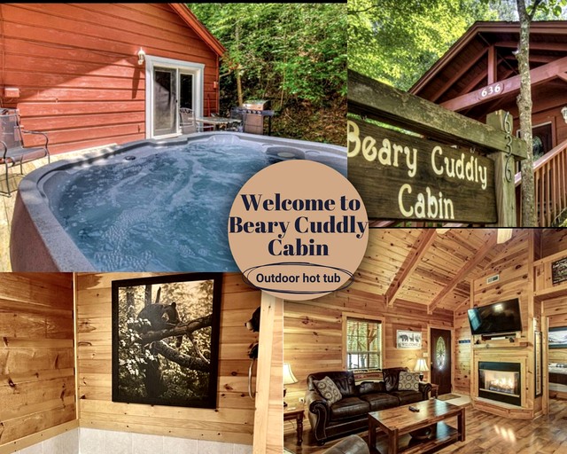 Cabins (United States of America, Gatlinburg, Tennessee)
