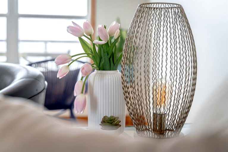 Cottages (Canada, Leamington, Ontario)