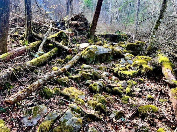 Cabins (United States of America, Chattanooga, Tennessee)
