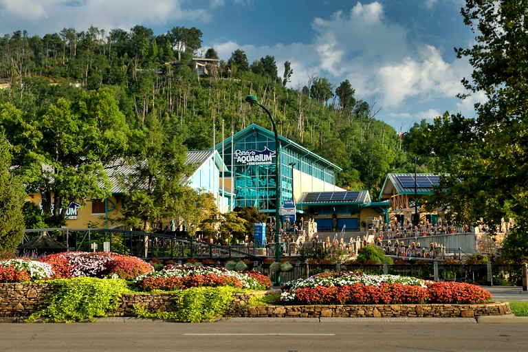 Cabins (United States of America, Sevierville, Tennessee)