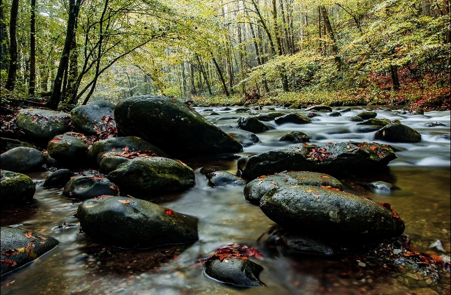Magnificent Cabin with Hot-tub and Hiking Trails Near in Gatlinburg, Tennessee
