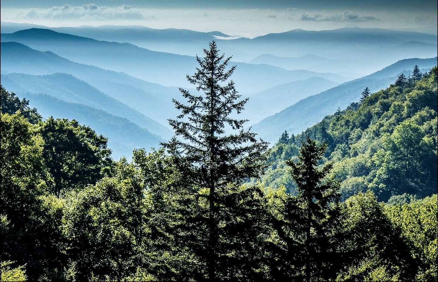 Magnificent Cabin with Hot-tub and Hiking Trails Near in Gatlinburg, Tennessee