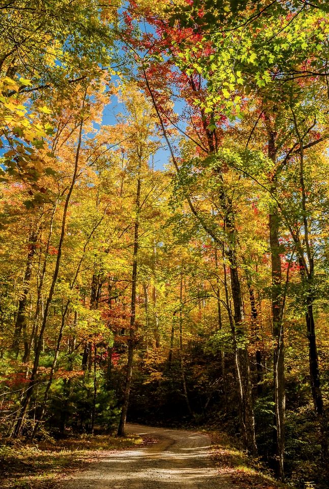 Magnificent Cabin with Hot-tub and Hiking Trails Near in Gatlinburg, Tennessee