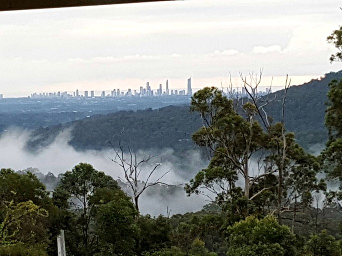 Tree Houses (Austinville, Queensland, Australia)