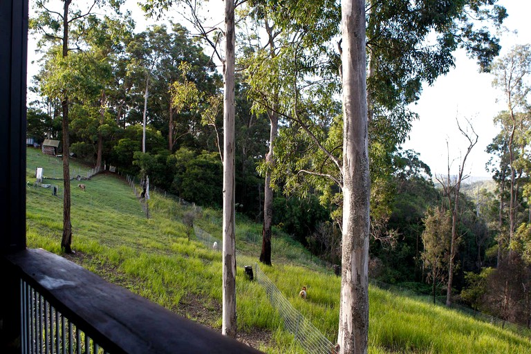 Tree Houses (Austinville, Queensland, Australia)