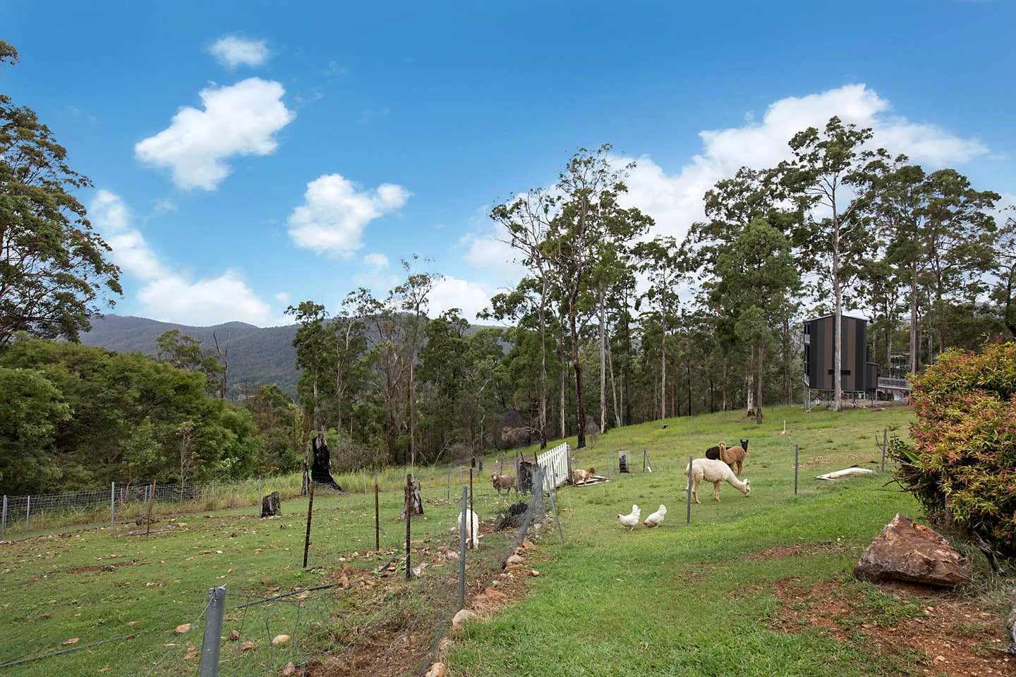 Stunning Tree House with Pool Access Ideal for Luxury Holiday Accommodation, Gold Coast