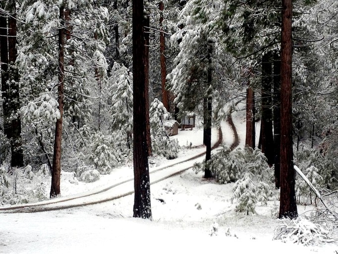 Log Cabins (Volcano, California, United States)