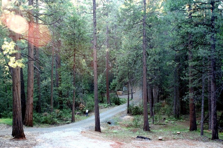 Log Cabins (Volcano, California, United States)