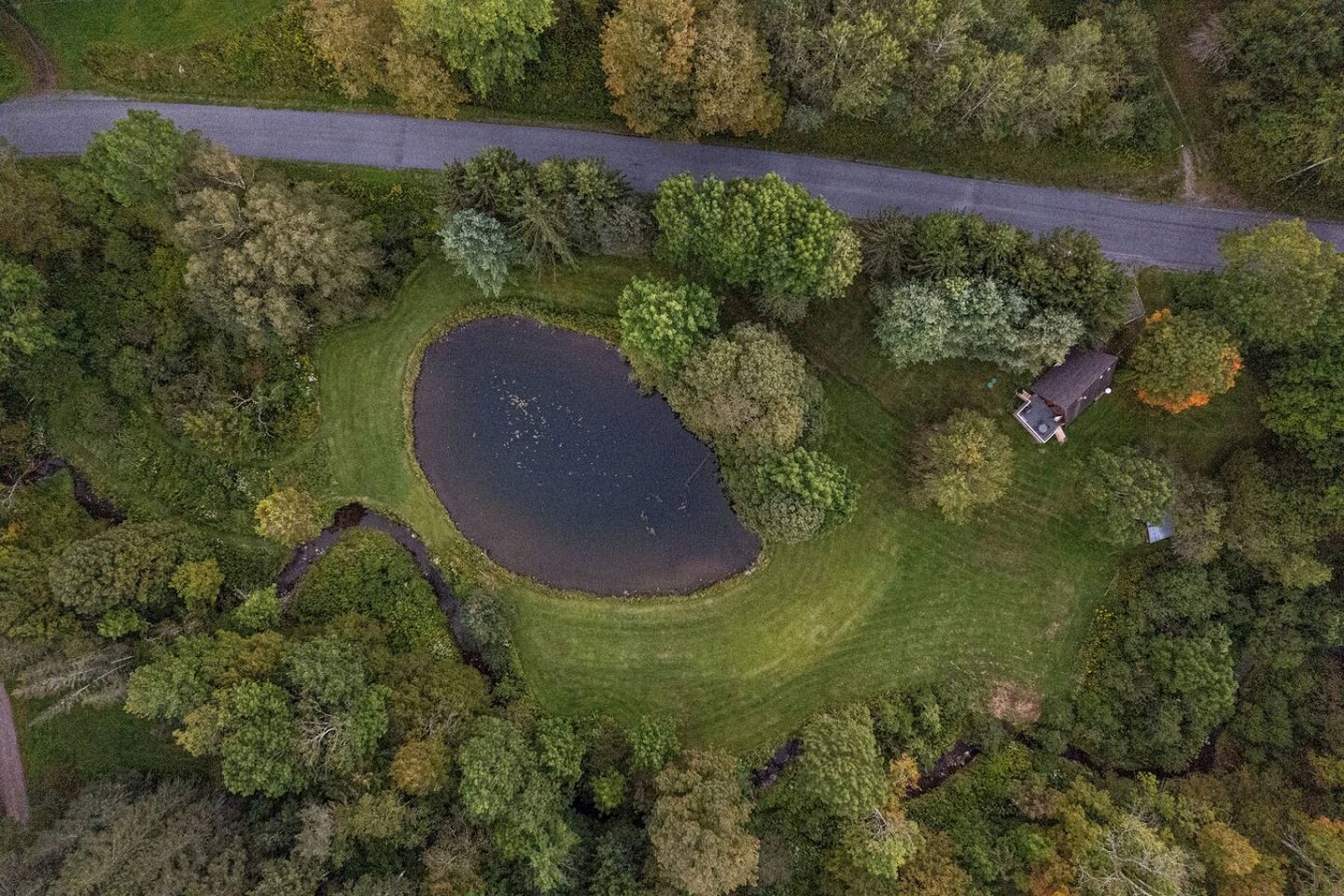 Peaceful A-Frame Retreat with Pond & Private Woodland Escape in Margaretville, New York