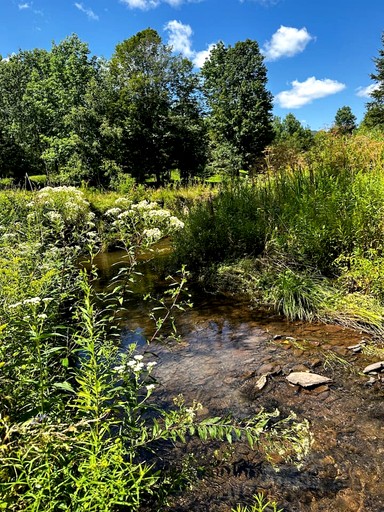 A-Frames (United States of America, Margaretville, New York)