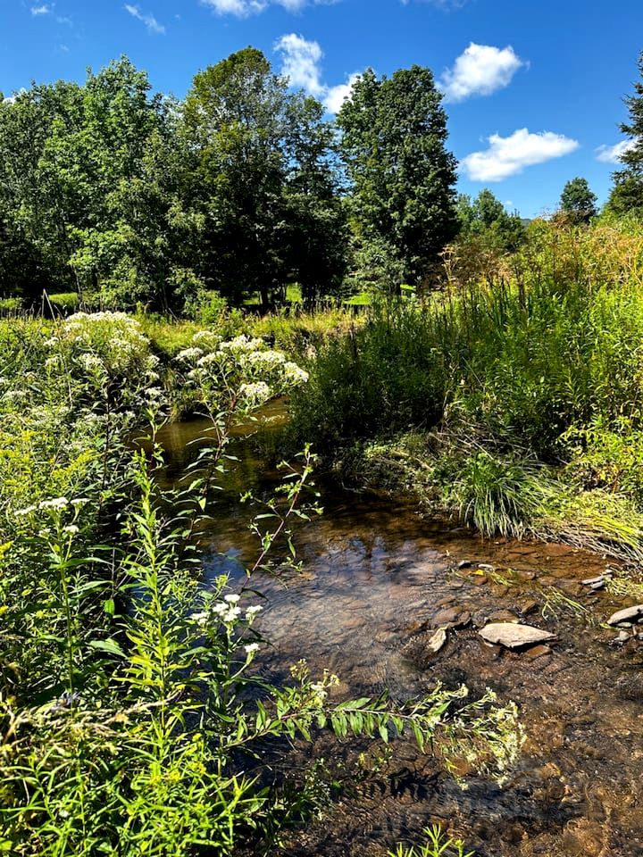 Peaceful A-Frame Retreat with Pond & Private Woodland Escape in Margaretville, New York