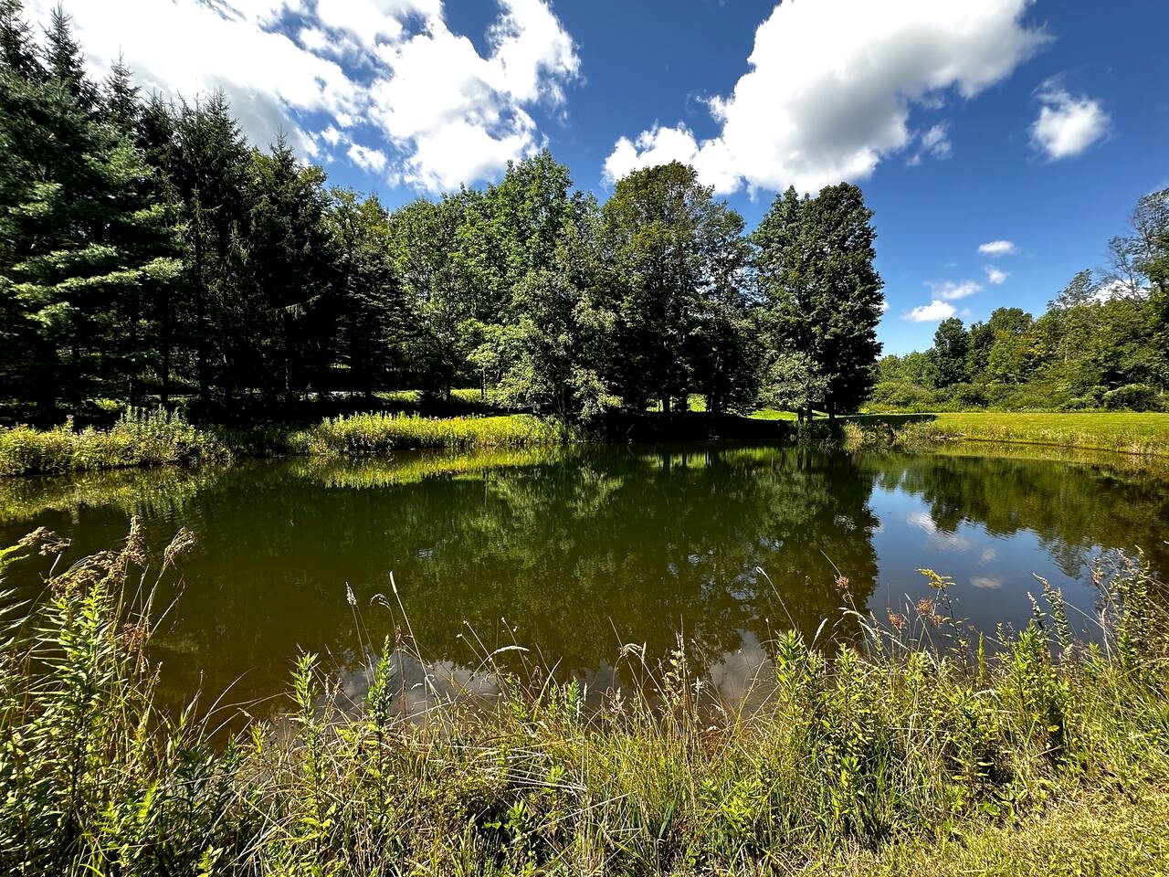 Peaceful A-Frame Retreat with Pond & Private Woodland Escape in Margaretville, New York