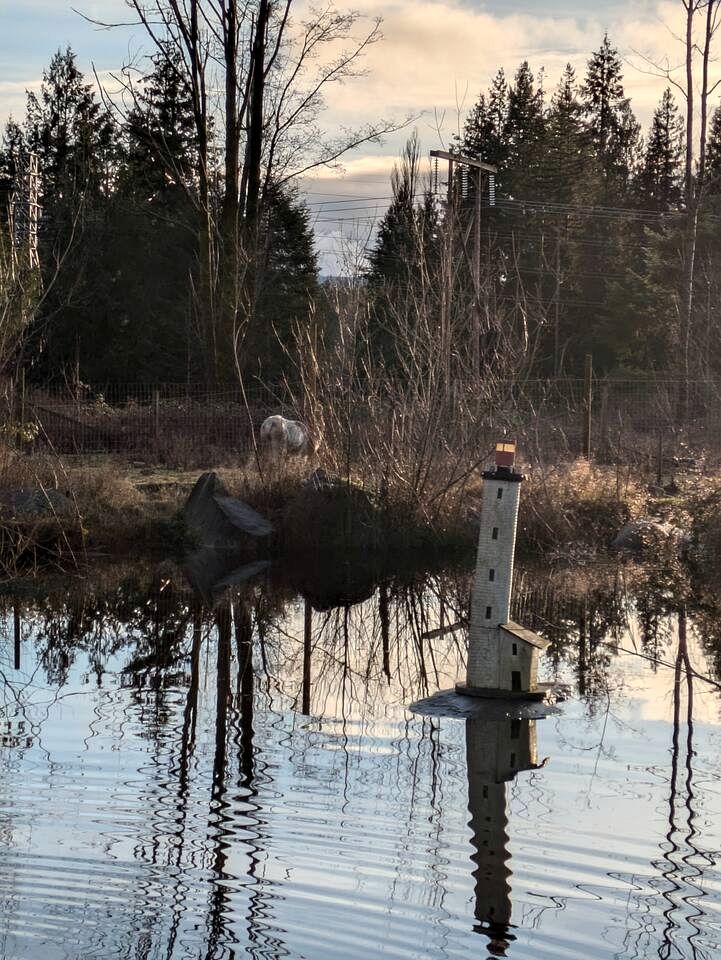 Romantic Golden Tree Ring Cabin with Forest Views & Egg Tub near Homestead Farm in British Columbia