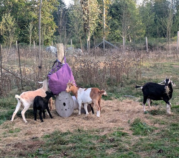 Vacation Rentals (Canada, qathet Regional District, British Columbia)