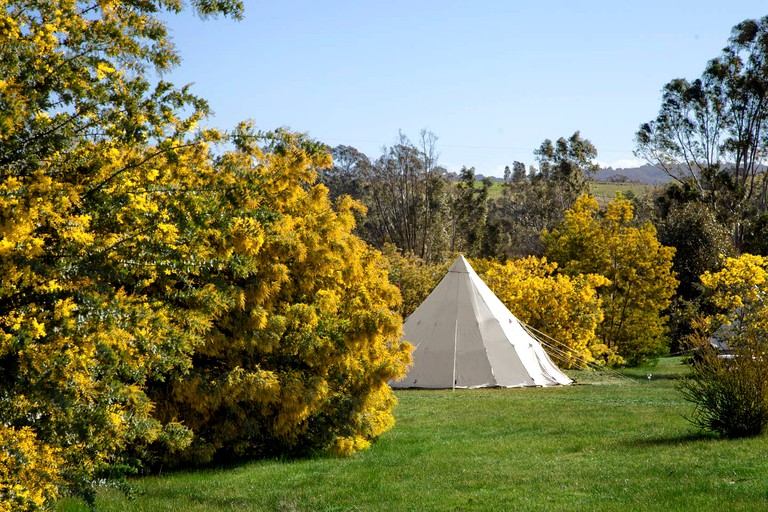 Bell Tents (Clydesdale, Greater Victoria, Australia)