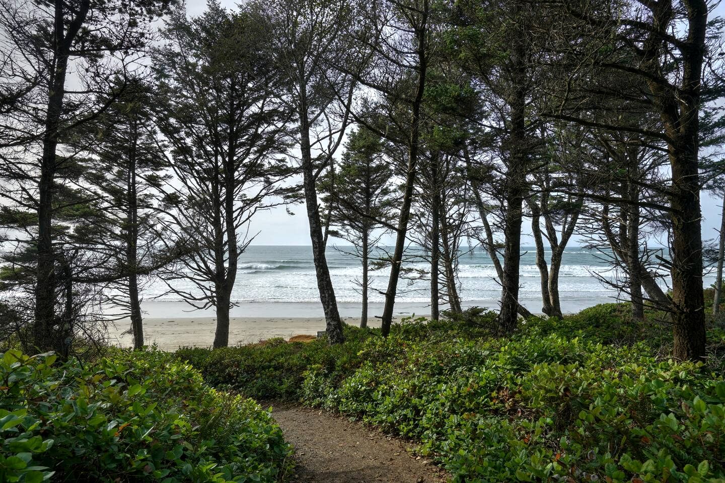 Gorgeous A-Frame by the Beach in Otter Rock, Oregon