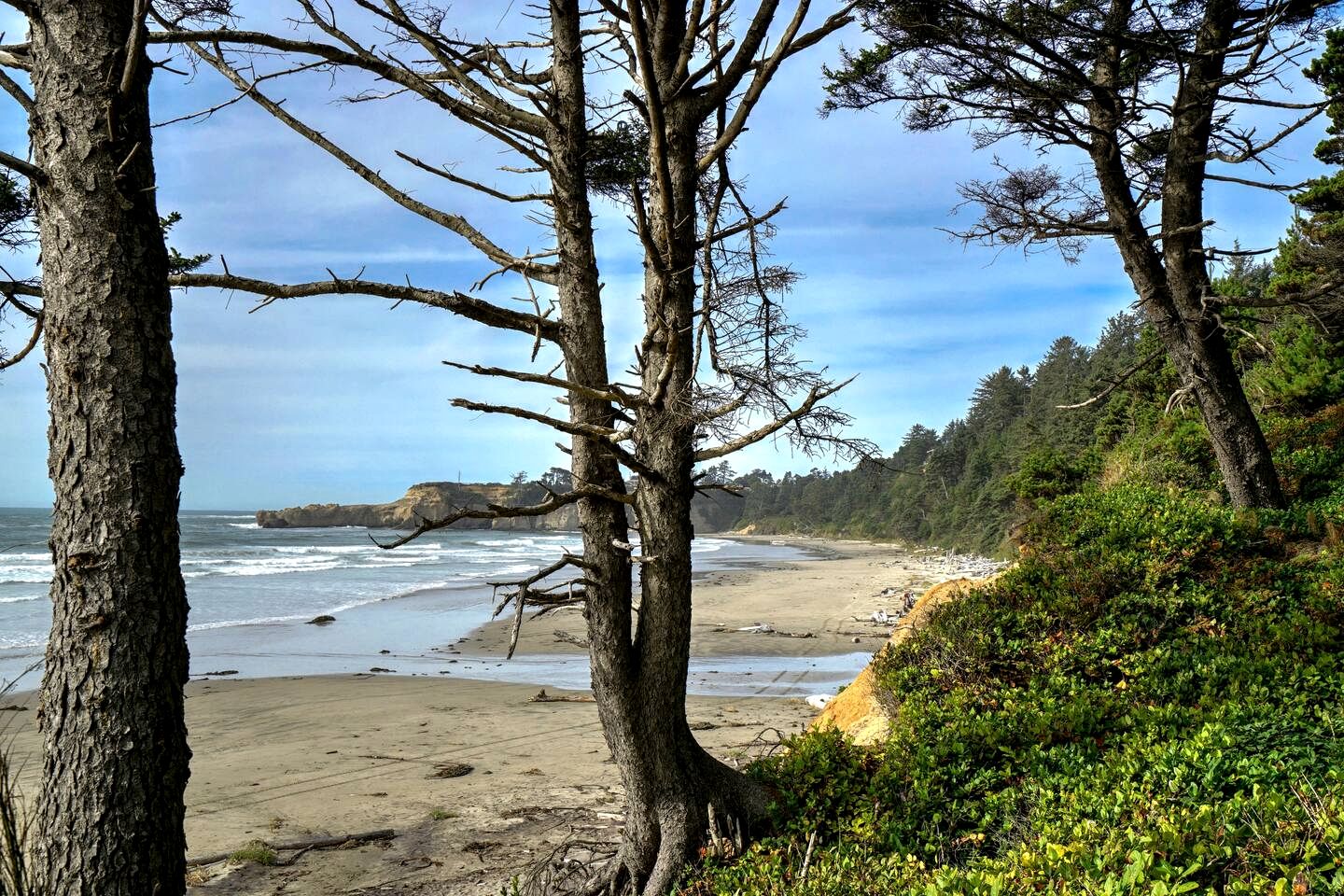 Gorgeous A-Frame by the Beach in Otter Rock, Oregon