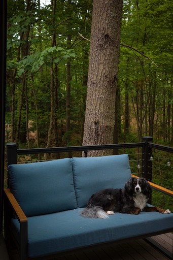 Cabins (United States of America, Freeport, Maine)