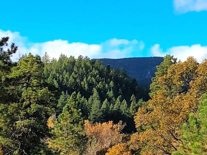 Abigail Lee Rentals Vinemesa Cabin, Cabins, Beulah, United States of