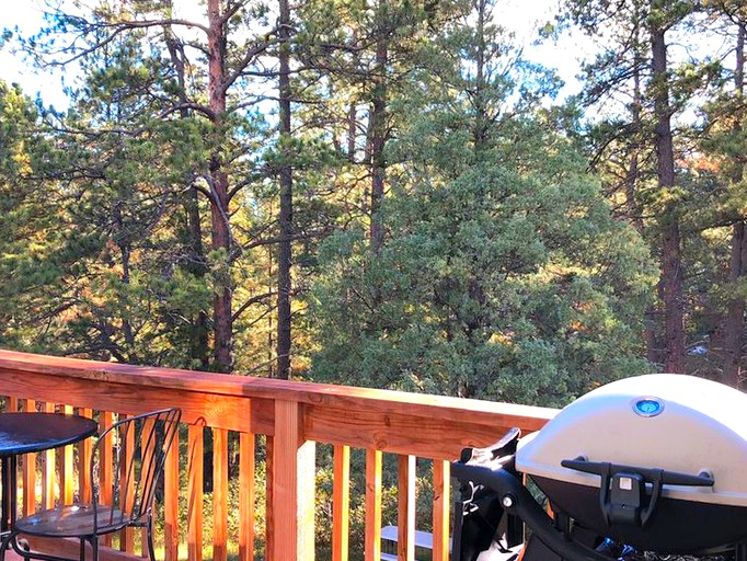 Abigail Lee Rentals Vinemesa Cabin, Cabins, Beulah, United States of