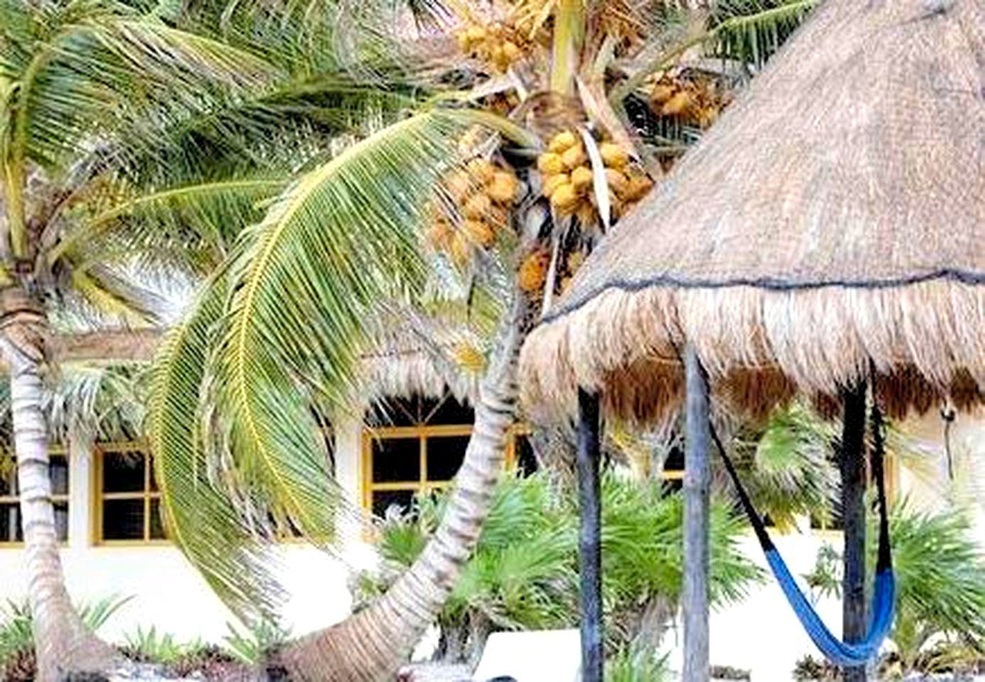 Gorgeous Beach Huts on the Coast of Quintana Roo, Mexico