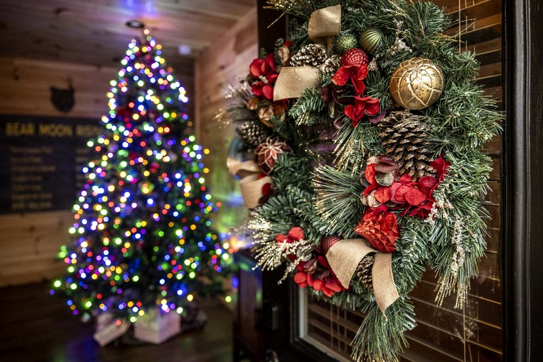 Cabins (United States of America, Gatlinburg, Tennessee)