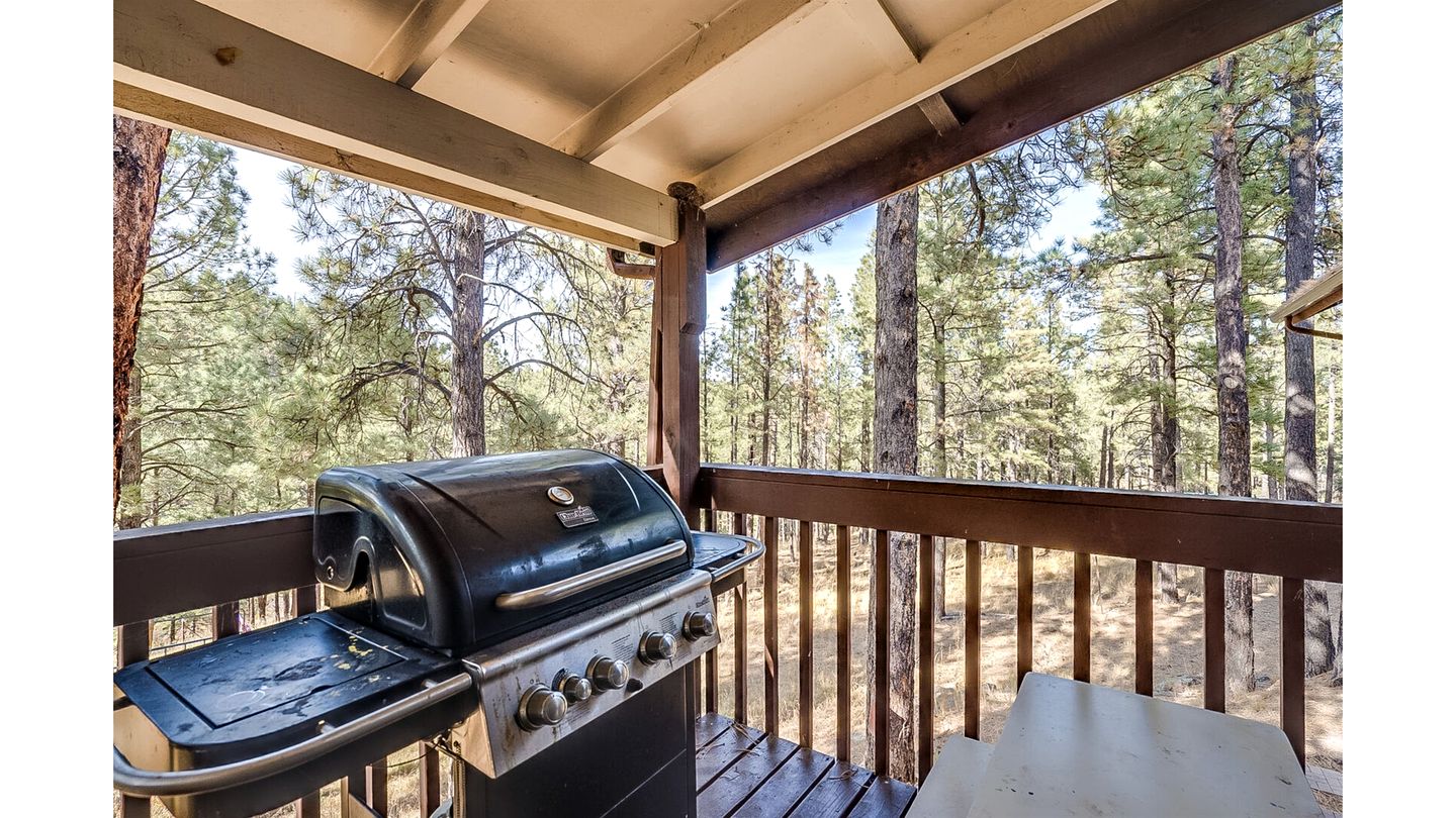 Gorgeous Cabin with Fireplace and Barbecue in Greer, Arizona