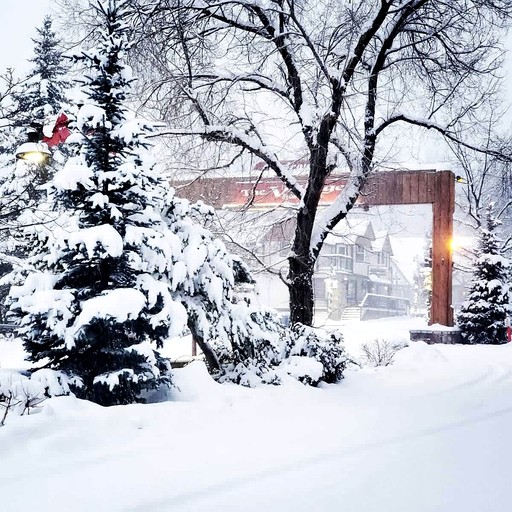Cabins (United States of America, Big Bear Lake, California)
