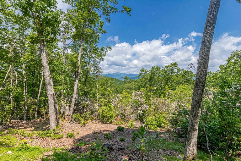 Cabins (United States of America, Clarkesville, Georgia)