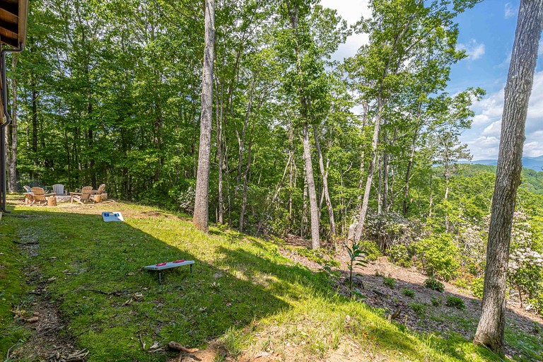 Cabins (United States of America, Clarkesville, Georgia)