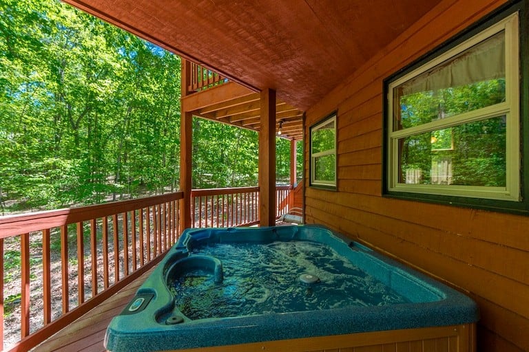 Cabins (United States of America, Cleveland, Georgia)