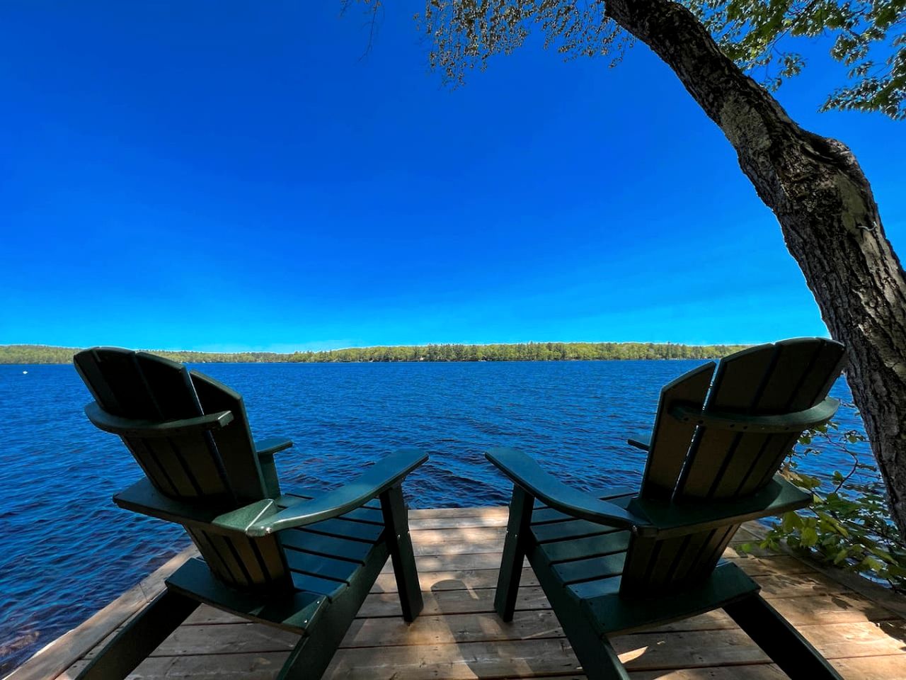 Gorgeous Cabin Surrounded by Trees and Barbecue Provided in Bridgton, Maine