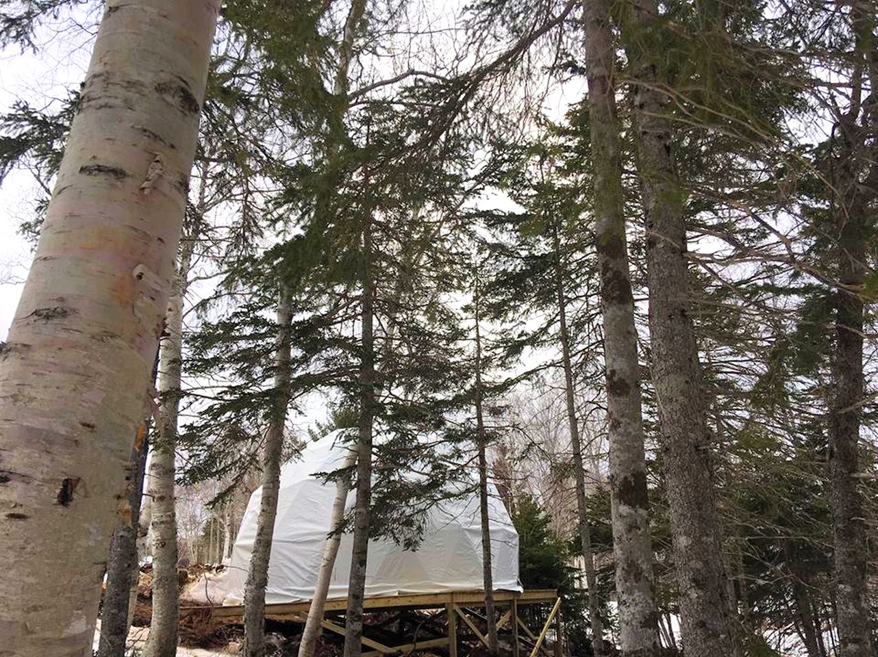 Gorgeous Dome Rental for Glamping on Cape Breton Island, Nova Scotia