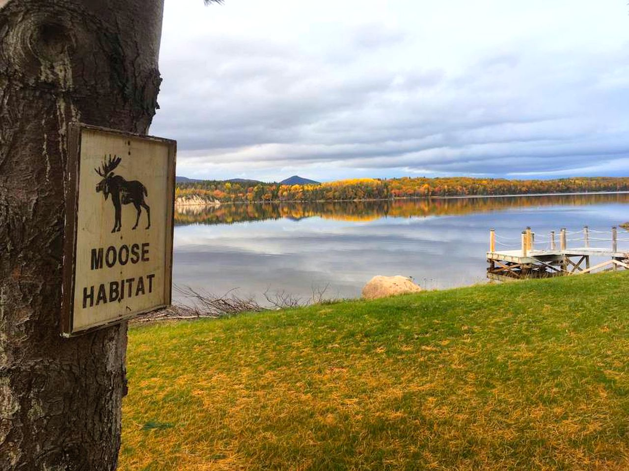 Gorgeous Dome Rental for Glamping on Cape Breton Island, Nova Scotia