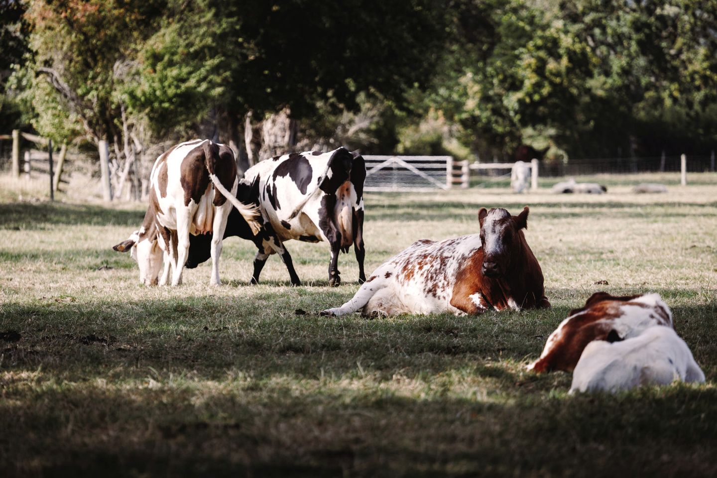 Gorgeous Fully-Equipped Cabin with Spectacular Outdoor Living Space in UK