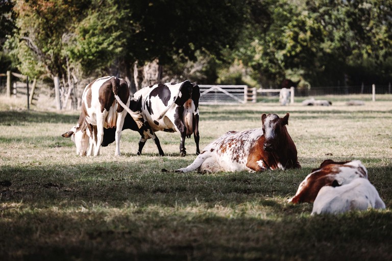 Cabins (United Kingdom, Arundel, West Sussex)
